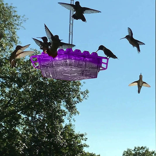 BLOOMHIVE – Ant-Proof Hummingbird Feeder with 30 Flower-Inspired Feeding Ports