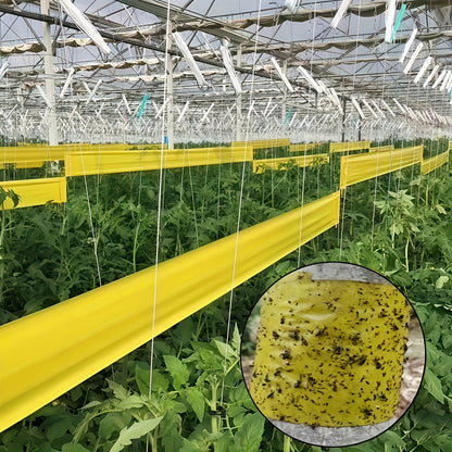 BugStrip - Outdoor Sticky Insect Barrier Tape for Effective Plant Protection 1
