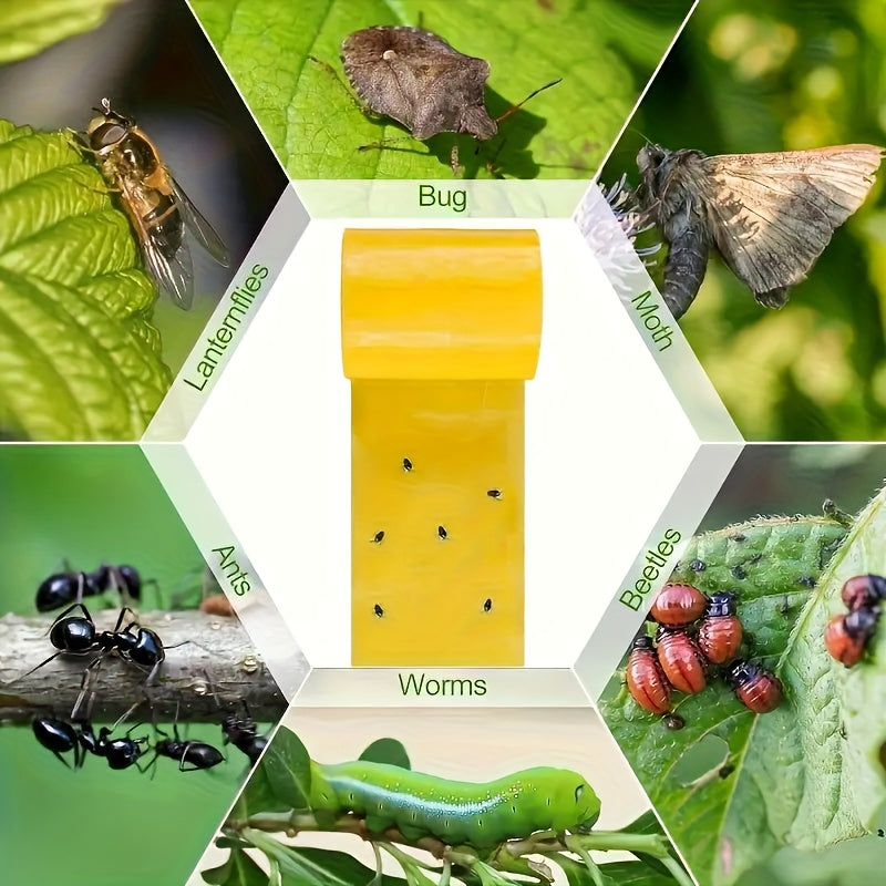 BugStrip - Outdoor Sticky Insect Barrier Tape for Effective Plant Protection 4