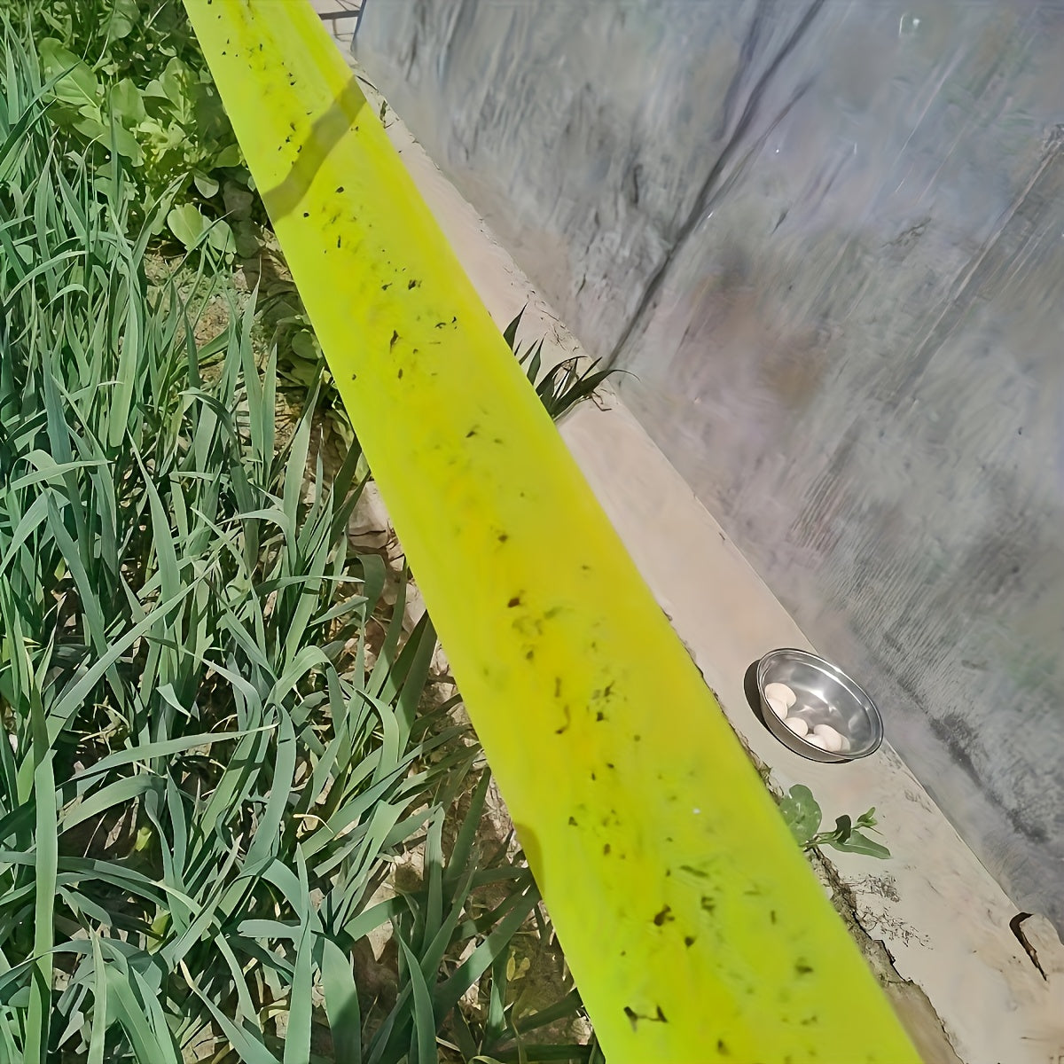 BugStrip - Outdoor Sticky Insect Barrier Tape for Effective Plant Protection 5