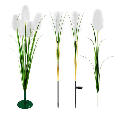 SOLARHAVEN – Weatherproof Solar Lights for Outdoor Decoration