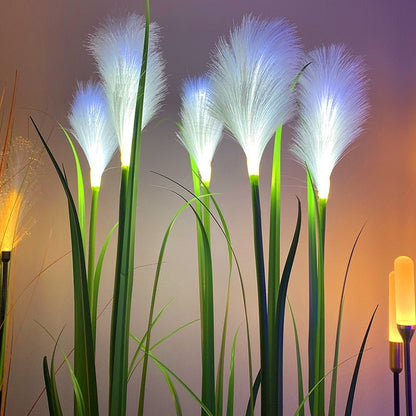 SOLARHAVEN – Weatherproof Solar Lights for Outdoor Decoration