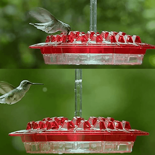 NectarHaven - Ant-Proof Hummingbird Feeder with 30 Flower-Inspired Ports 5