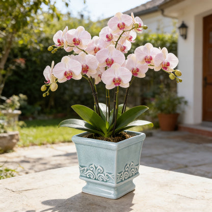 Vintage Ceramic Planter - Square Ceramic Pot with Integrated Drainage for Indoor Plants 2